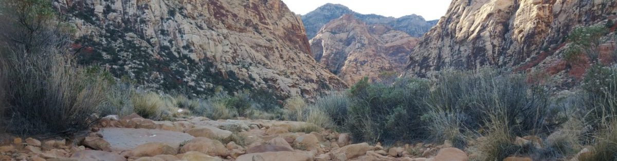 Walking In The Wilde